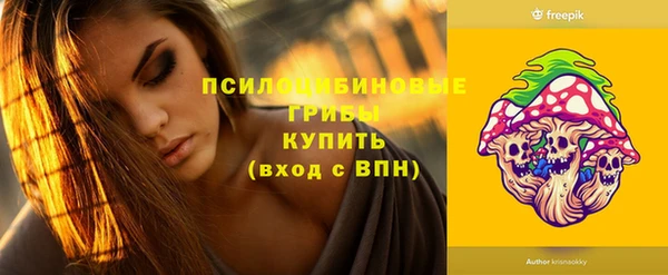 apvp Нязепетровск