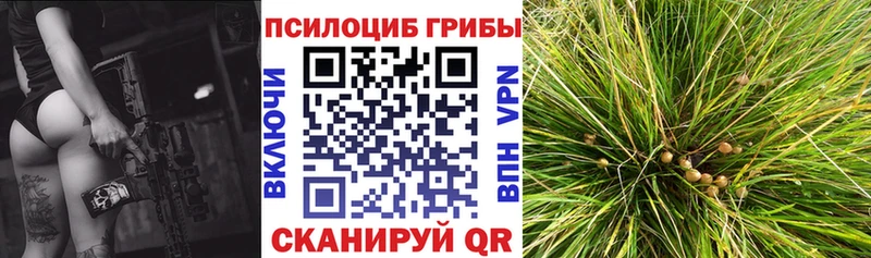 Псилоцибиновые грибы ЛСД  OMG ТОР  Шлиссельбург 